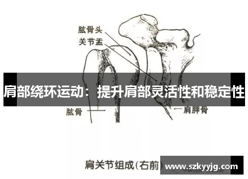 肩部绕环运动：提升肩部灵活性和稳定性