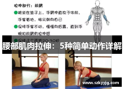 腰部肌肉拉伸：5种简单动作详解